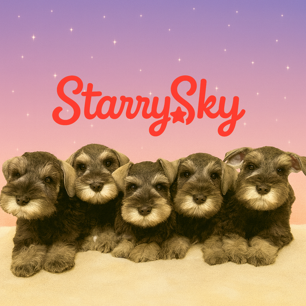 ミニチュアシュナウザー専門犬舎スターリースカイ